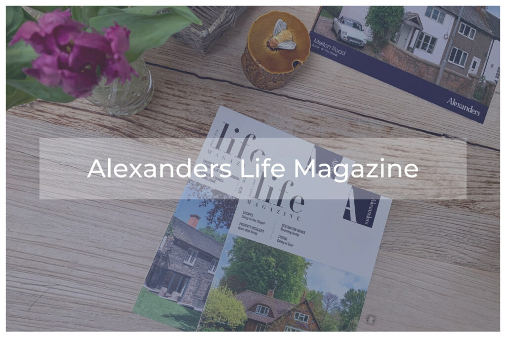 alexanders_life_magazine